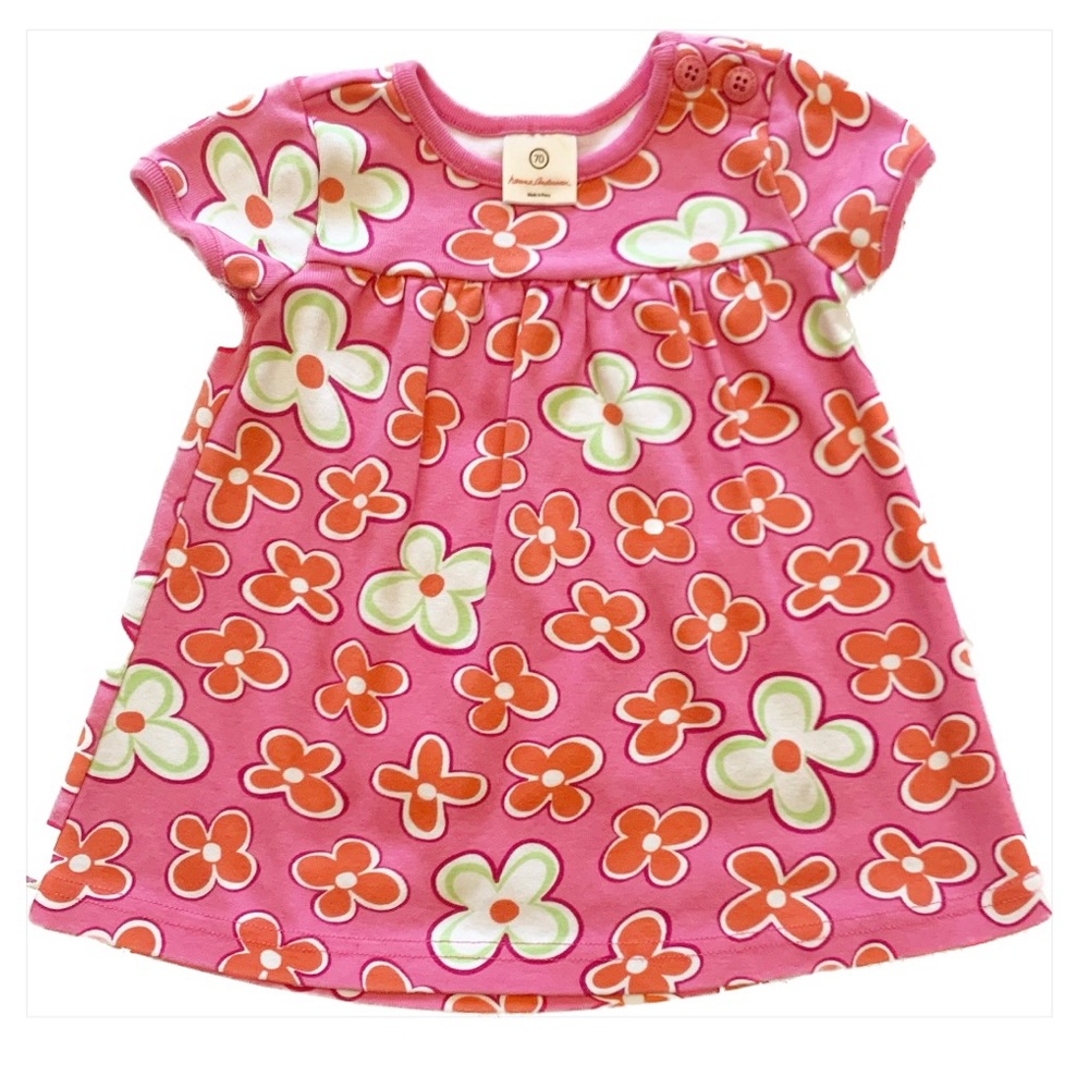 Hanna Andersson Pink and Red Floral Short Sleeve Dress Size 70 (6-12 months)